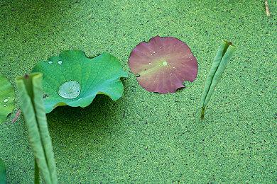 《The Darkness Below》Steam抢测 复古3D迷宫探索